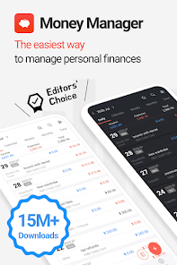 Financial dashboard preview